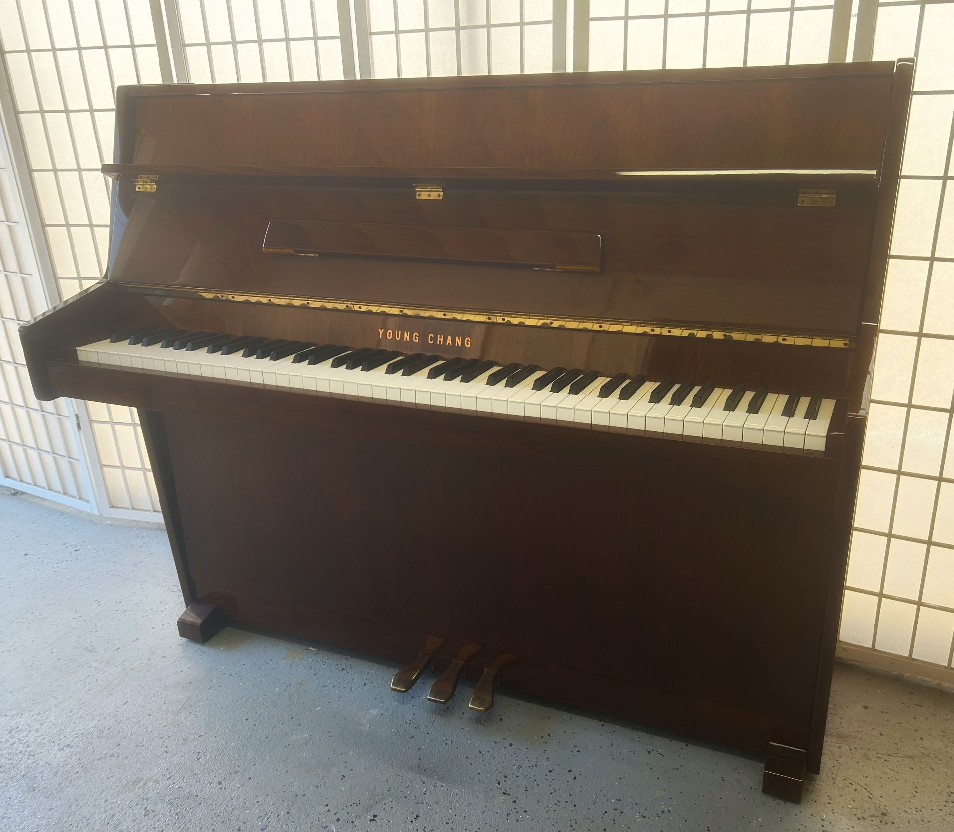 “Young Chang” Sweet & Petite Studio Piano/ Will Deliver!!