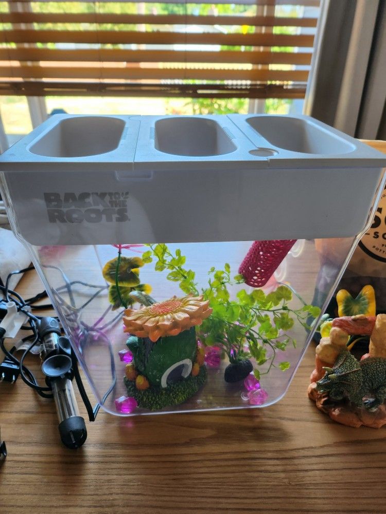 3 Gallon Fish Tank With Aquaponic growing System
