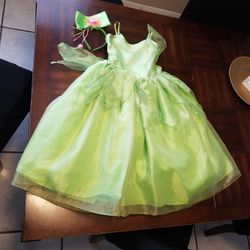 Tinkerbell Gown Costume 