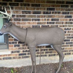 Shooter Buck Deer Archery Target
