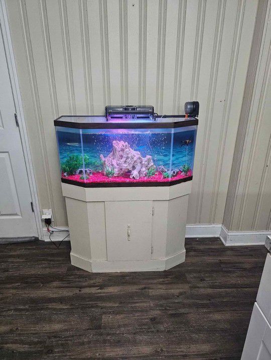 Fish tank with stand 30 Gal