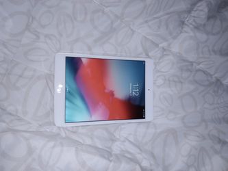IPad Mini (Perfect Condition)