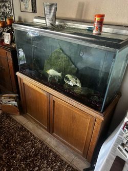 60 gallon tank and water filtration pump