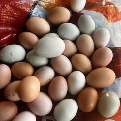 Eggs for sale