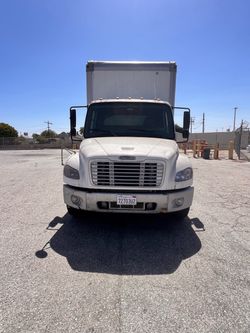 Freightliner Box Truck White