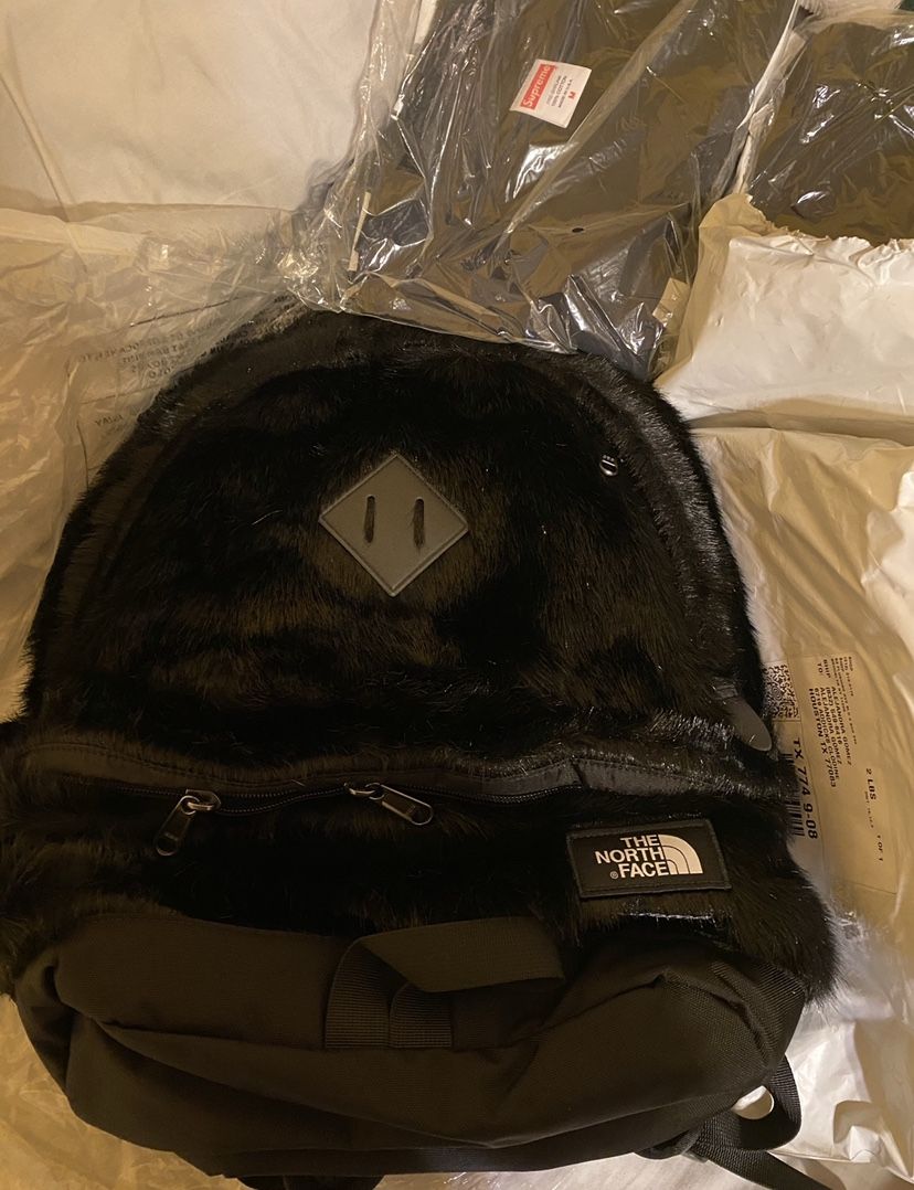 Supreme North face Backpack 