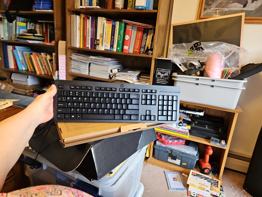HP 125 Wired Keyboard & Mouse