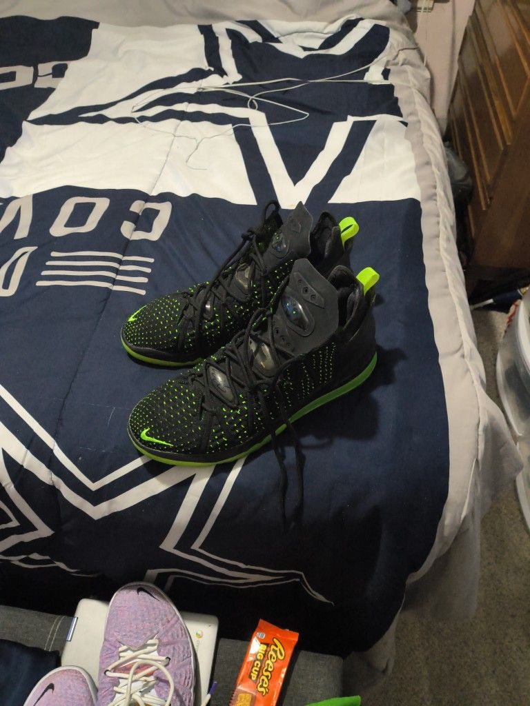 LeBron James 15