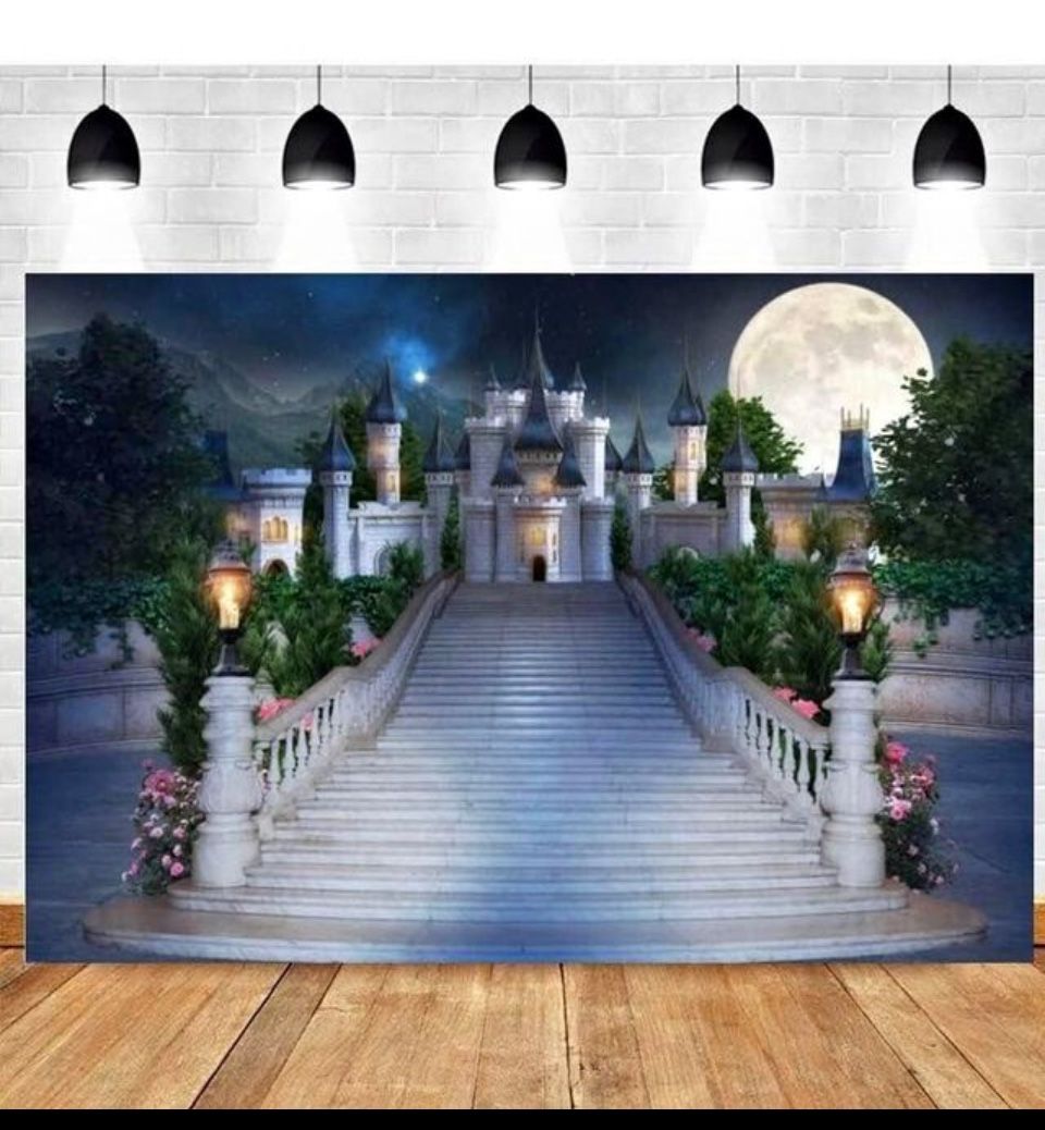 Fairytale Castle Night Scene Princess Backdrop