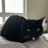 Amy