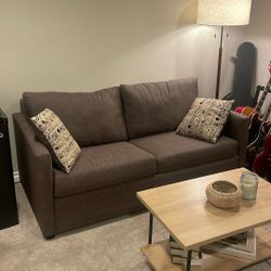Gray Brown Fold Out Couch 