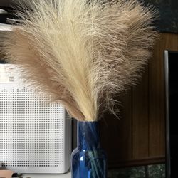 pampas grass with vase (used)