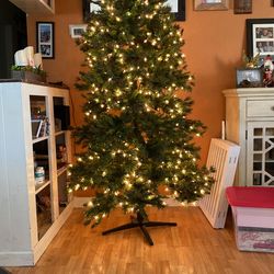 Beautiful Tree Does Not Need Alot Of Space 7.5 Ft