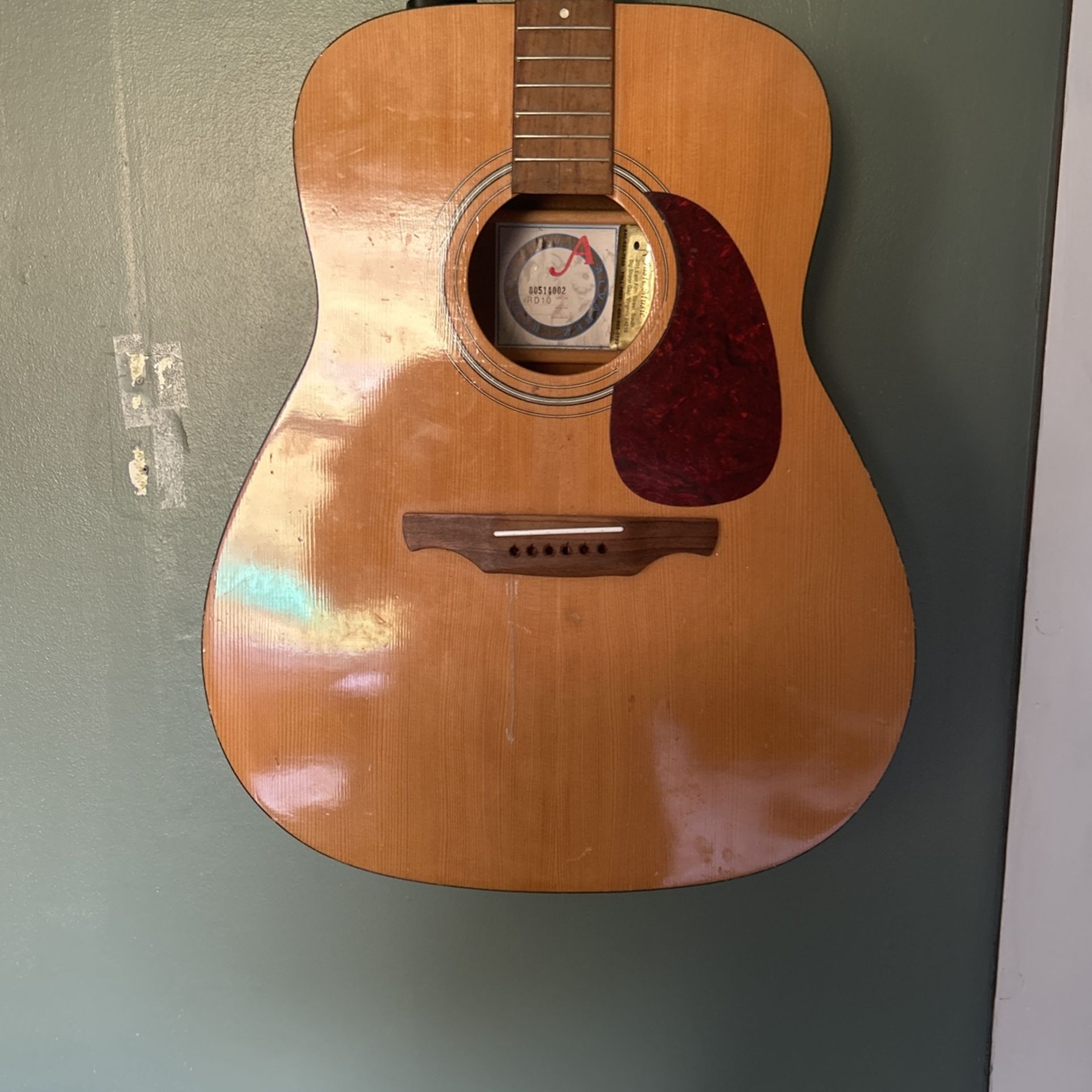 Alvarez RD10 Guitar