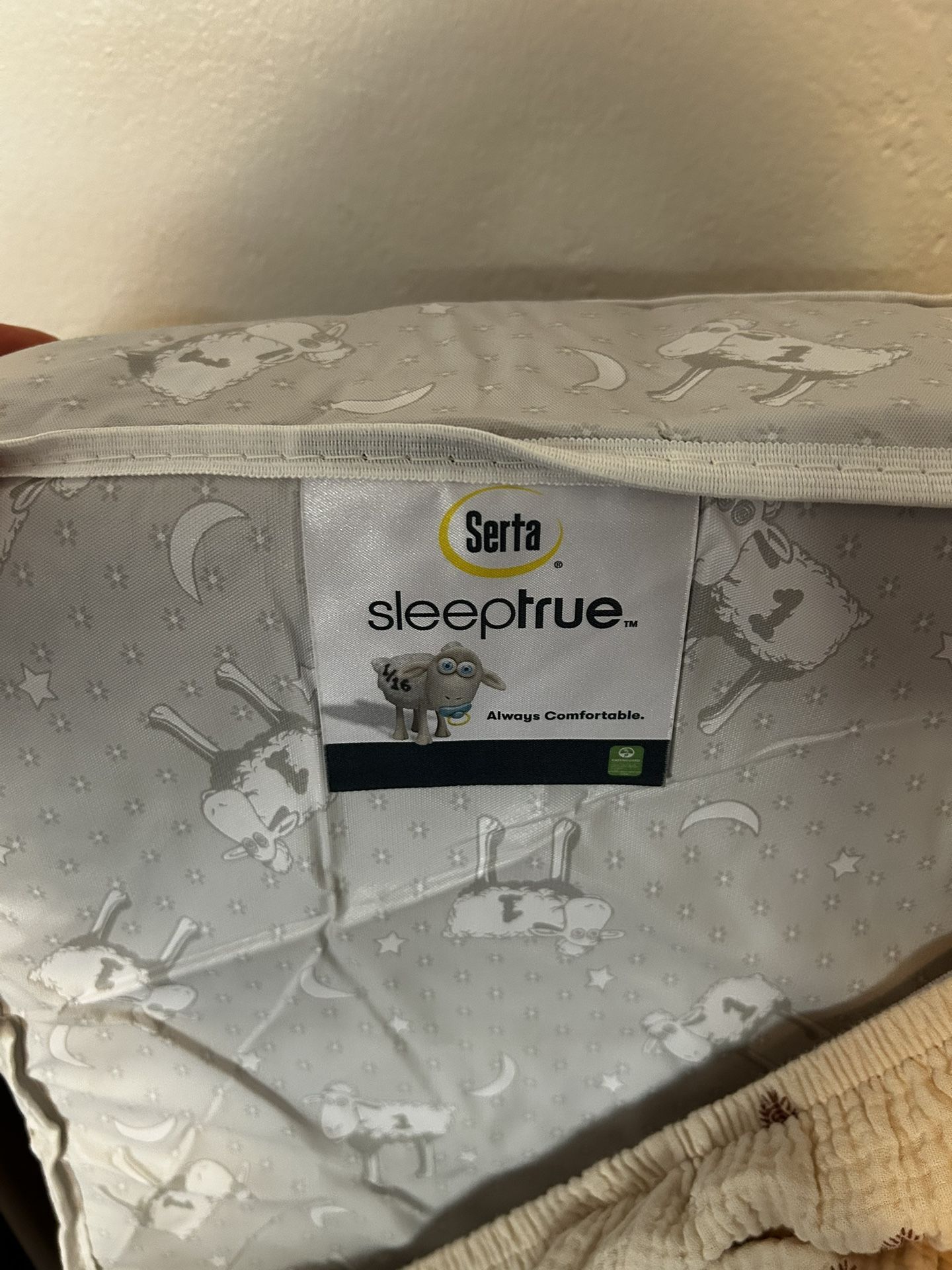 Serta Mini Crib Mattress (excellent shape)