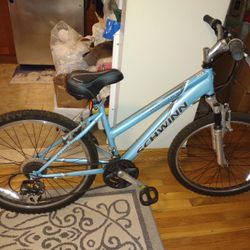Schwinn Ranger 24" Girl's Mountain Bike – 21 Speed – Upgraded Seat – S3401TGD