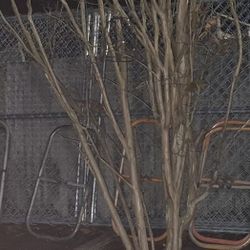 12 By 6 Temporary Fence Panels 