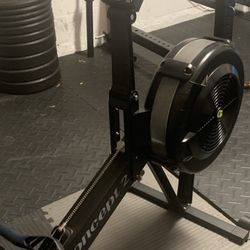 Rogue Gym equipment