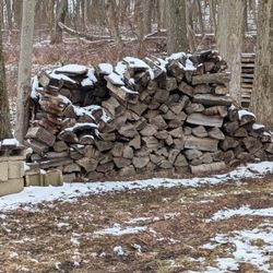 Red Oak Firewood For Sale