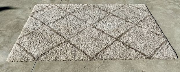 Area Rug Shag 6x9
