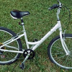 Raleigh Comfort Bile