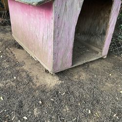 Dog House