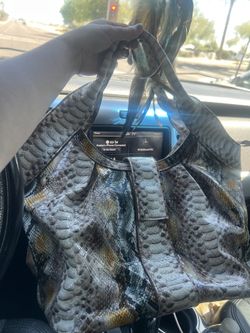 Big Buddha Snake Print Purse 
