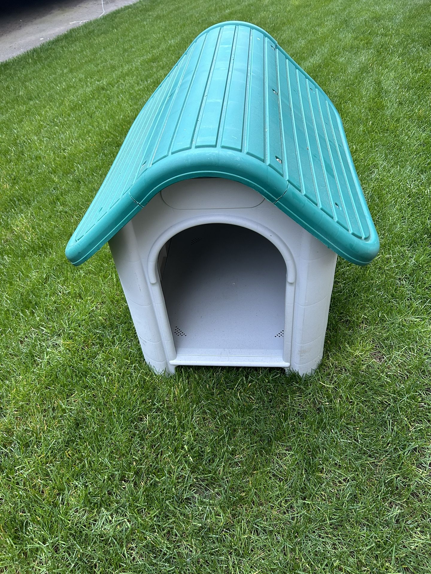 Outdoor dog house