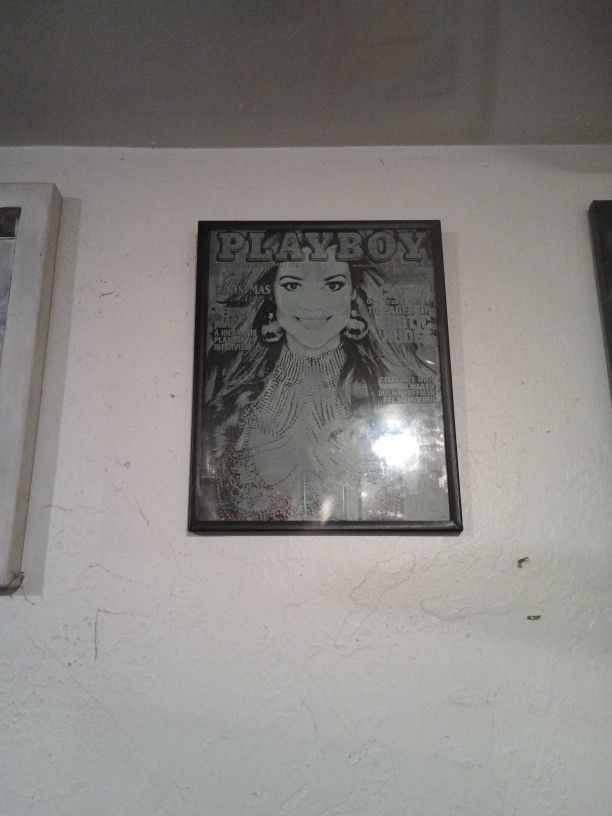 Set Of 2 Etched Glass Pictures