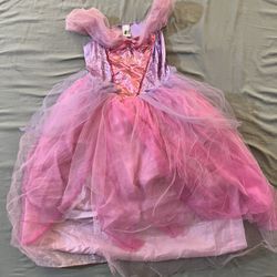 Princess Rapunzel Costume