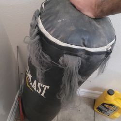 Punching Bag