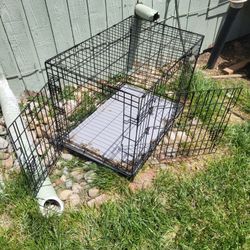 2 Dog Crates