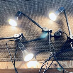 Display Lights with Travel Case
