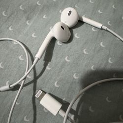 Apple Earbuds Lightning Cable 