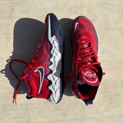 Nike Air Zoom GT Run USA colorway