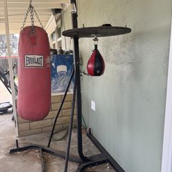 Heavy Bag And Speed Bag