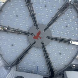 Led Lights $75 A Piece 