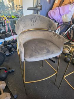 Contemporary Bar Stools