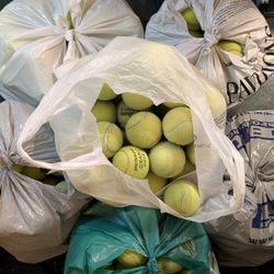 Used Tennis Balls 