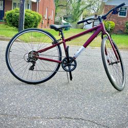 Batch life style bicycle