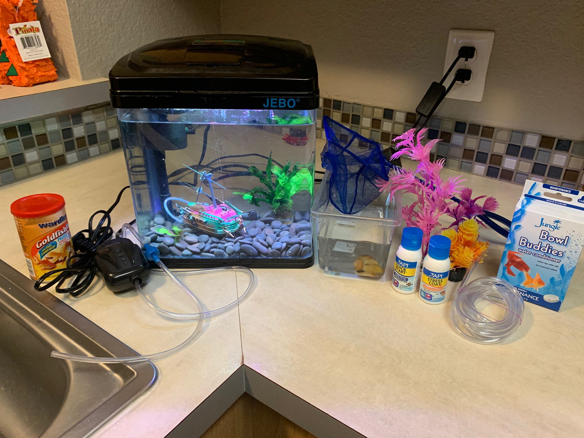 Fish Tank and Snail + Accessories