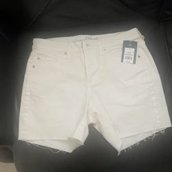 New Women Short Size 8