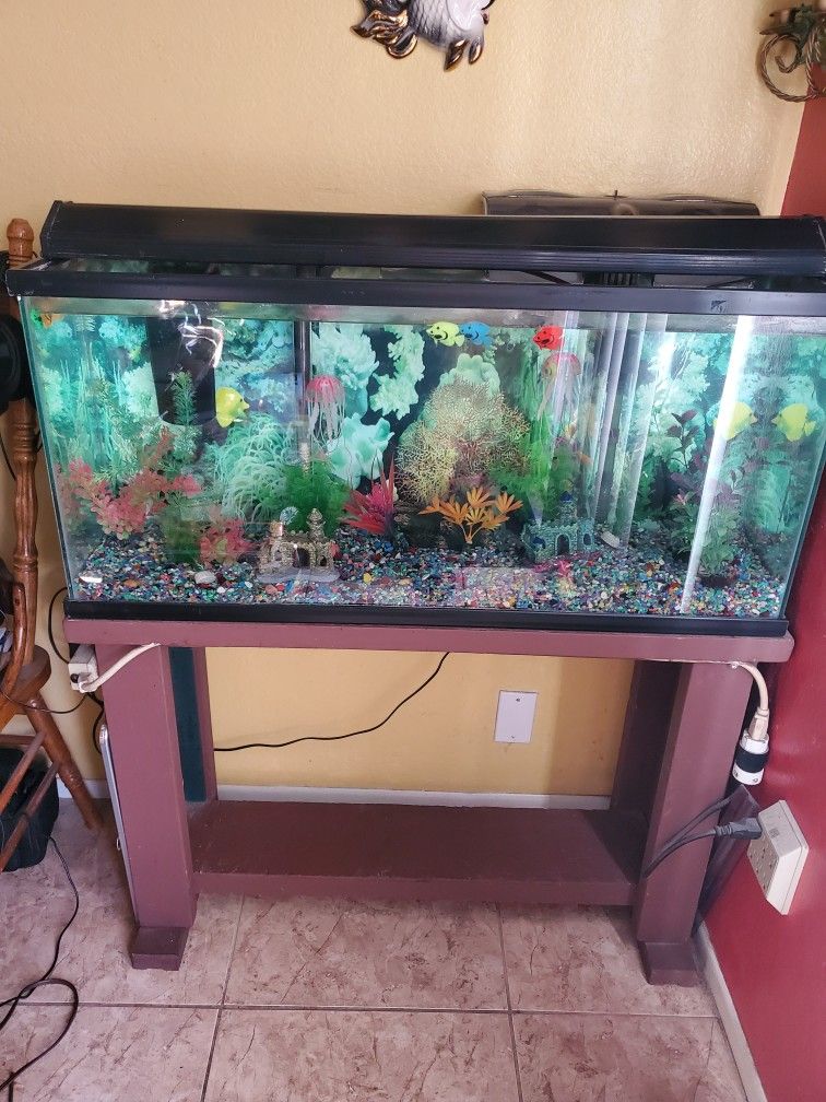 30 Gallon Tank Accessories