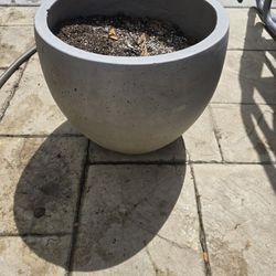 Flower Pot