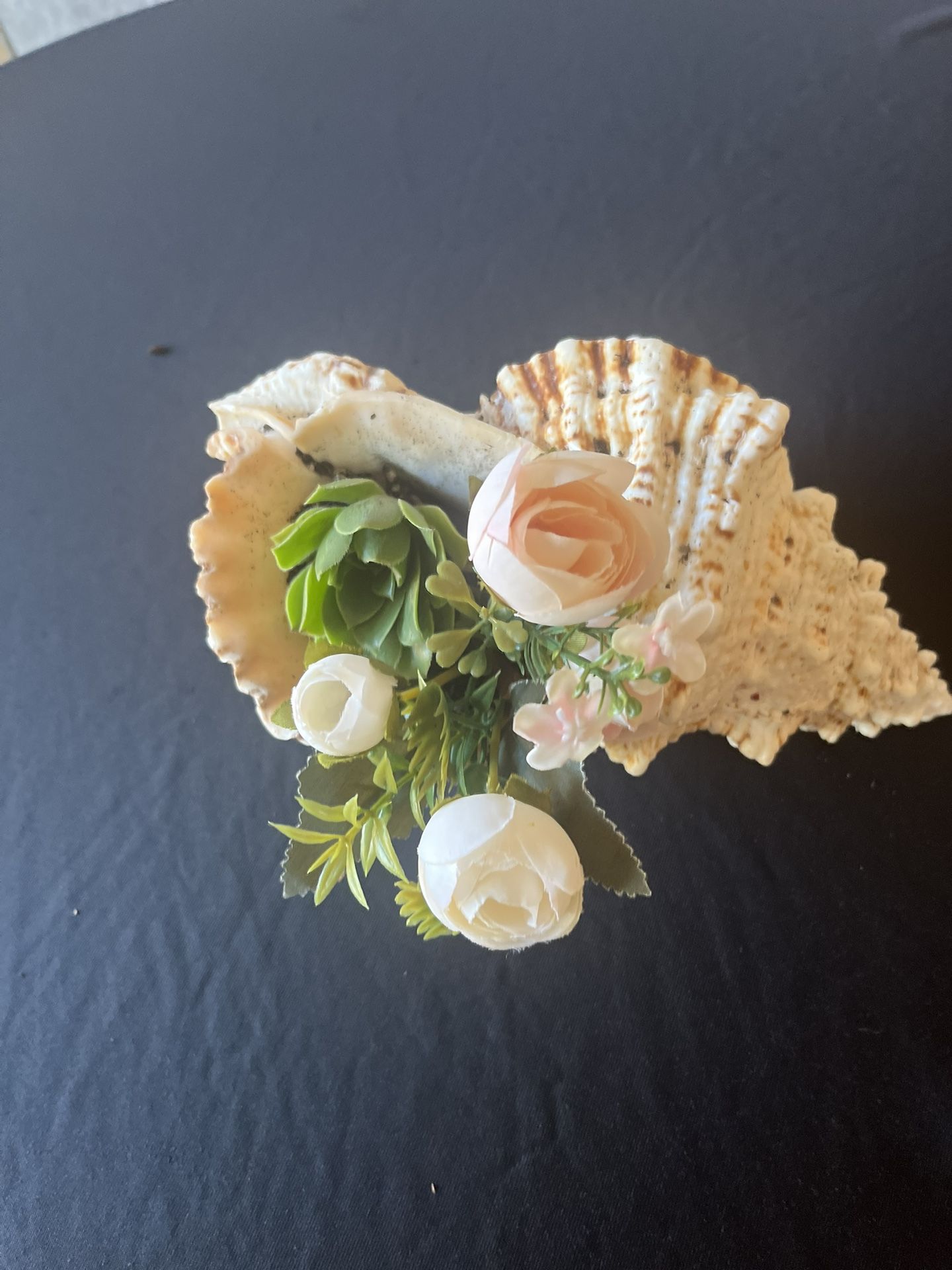 A Large seashell With A Real Succulent In Dirt With Imitation Roses