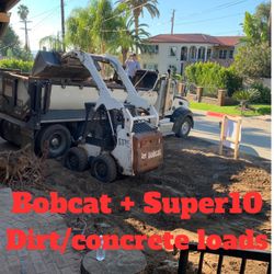 Bobcat And Super 10