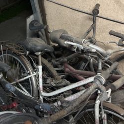 Bikes 
