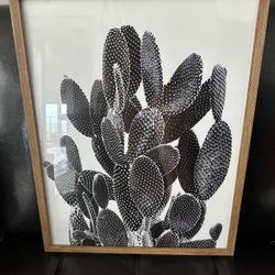 Framed Black And White Cactus Print