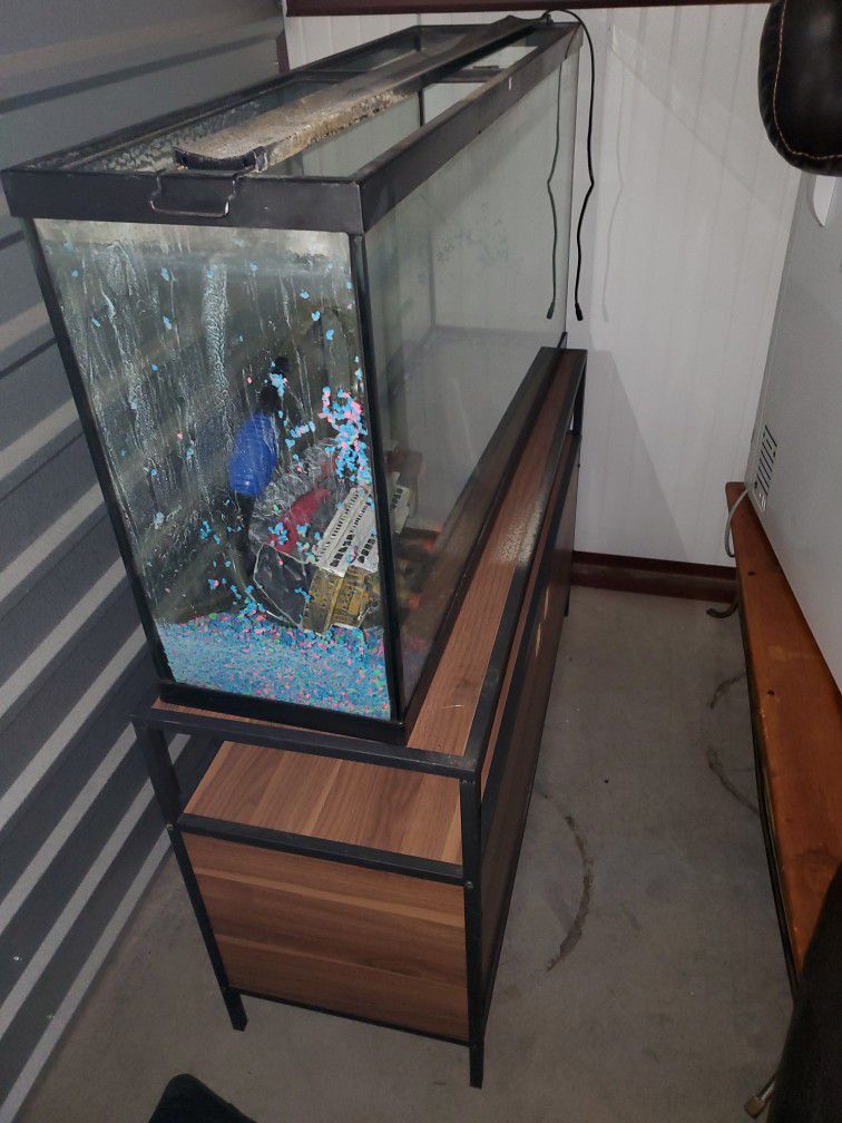65 Gallon Fish Tank Aquarium Set Up