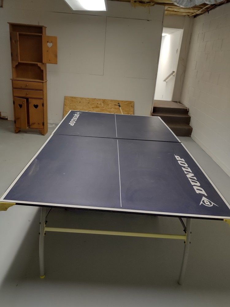 Ping Pong Table